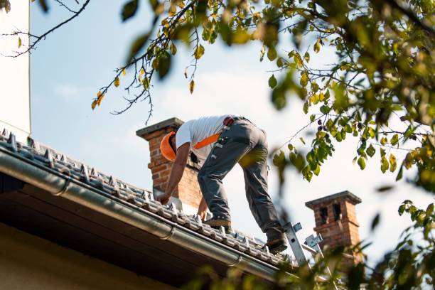 Best Gutter Installation and Roofing  in Maan, ND